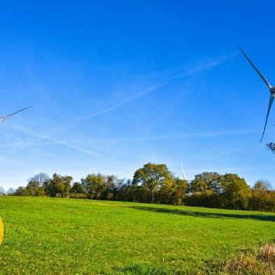 Guided tour of the Chamole wind farm