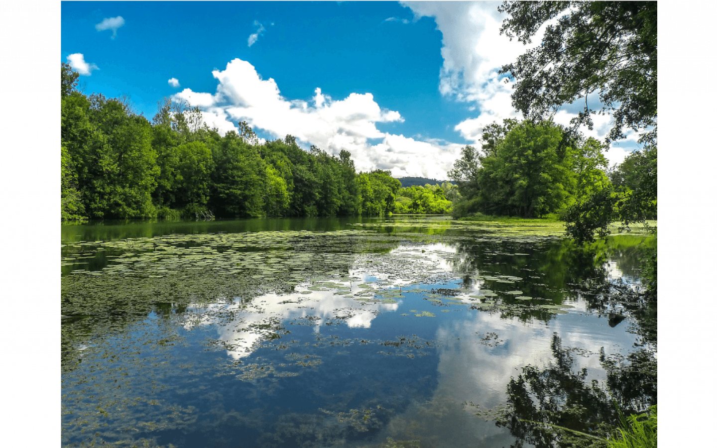 Les Essarts path