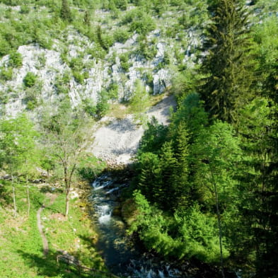 Source de la Saine