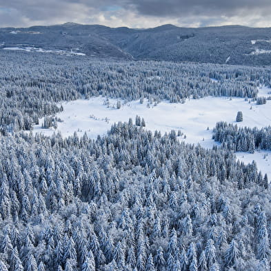 Piste verte de ski nordique - Le Pré Tardy