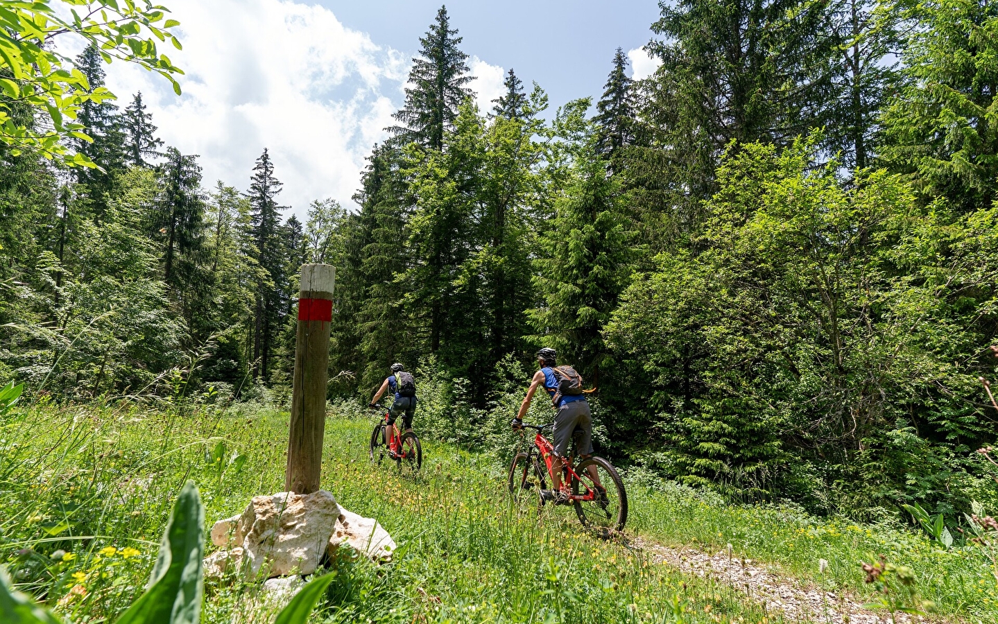 Risoux tour VTT n ° 17
