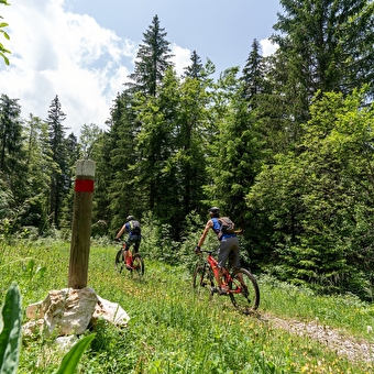 Risoux tour VTT n ° 17 - BELLEFONTAINE