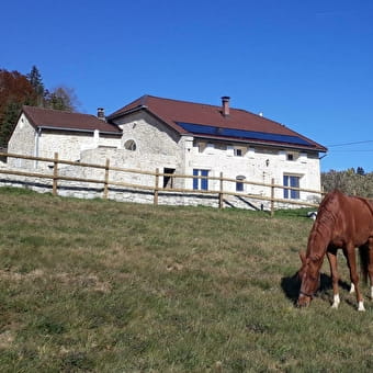 Gîte des 3 Marches - LAMOURA