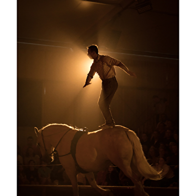 The automatic waitress