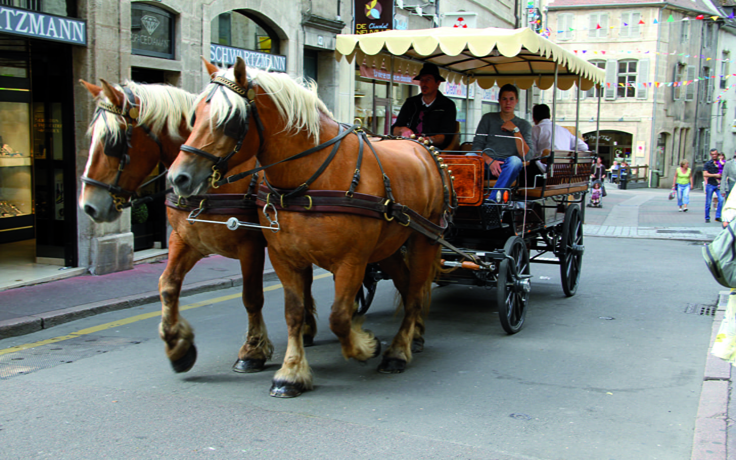 Horse-drawn carriage ride
