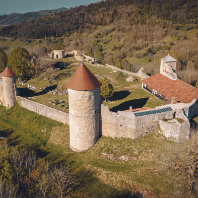 Guided tours - open house at Château de Chevreaux