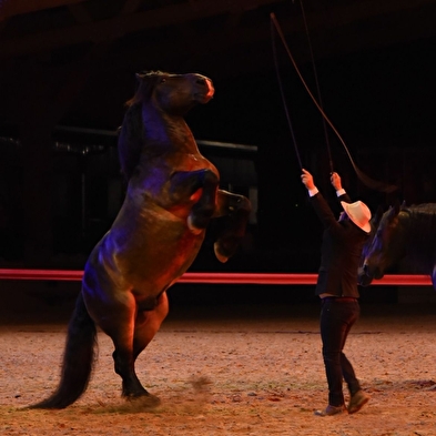 La Ferme des Comtois