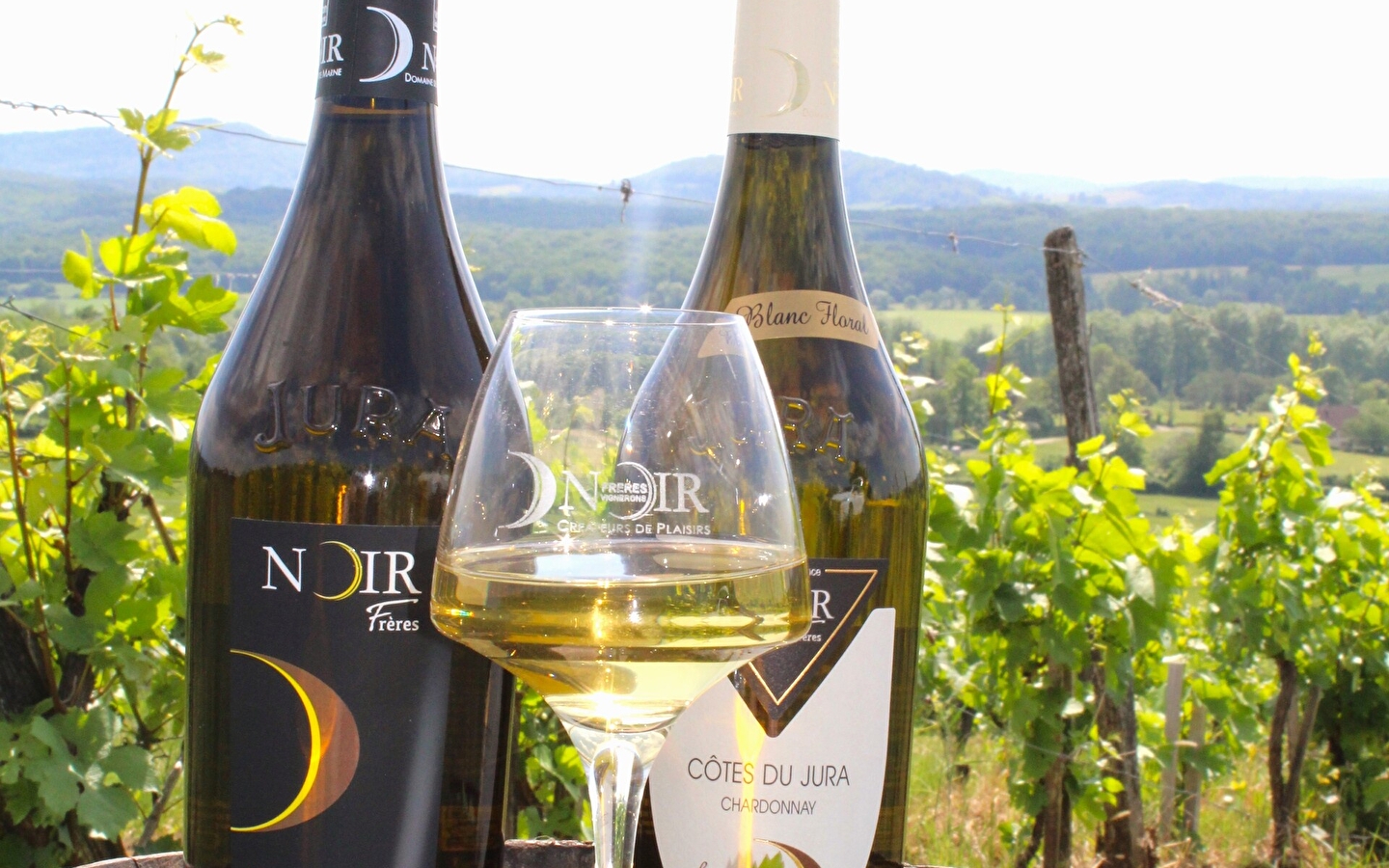 From vine to glass
