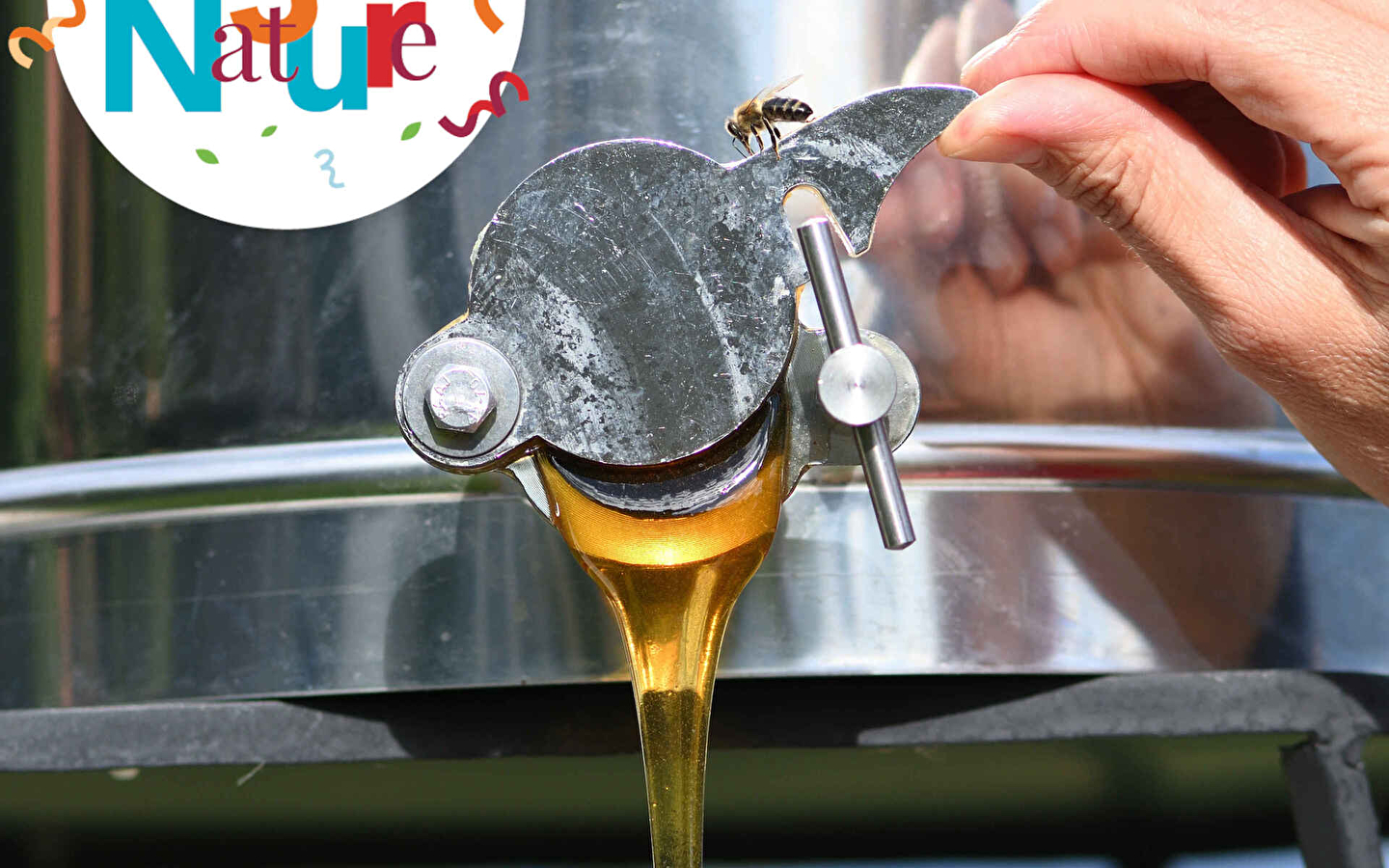 123 NATURE WORKSHOP: Honey extraction