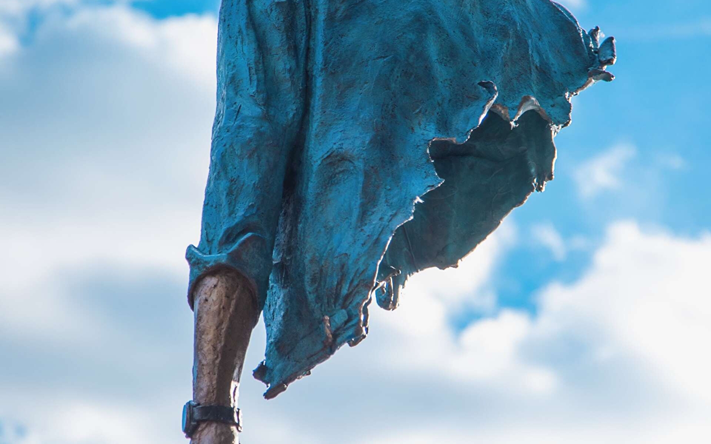 Bleu de Chine - Bruno Catalano