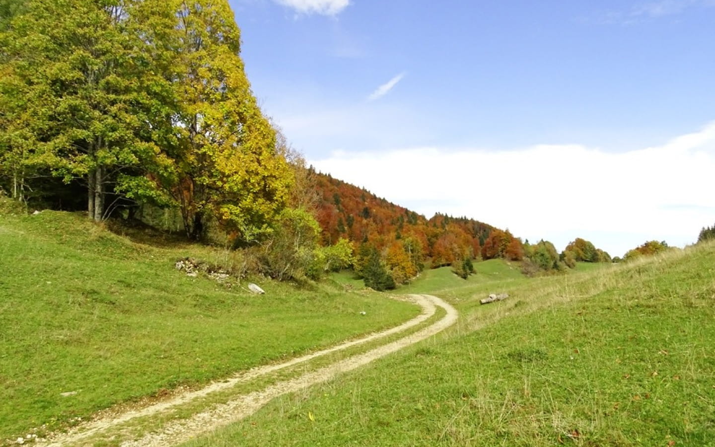 Sentier des Diots du Jura 