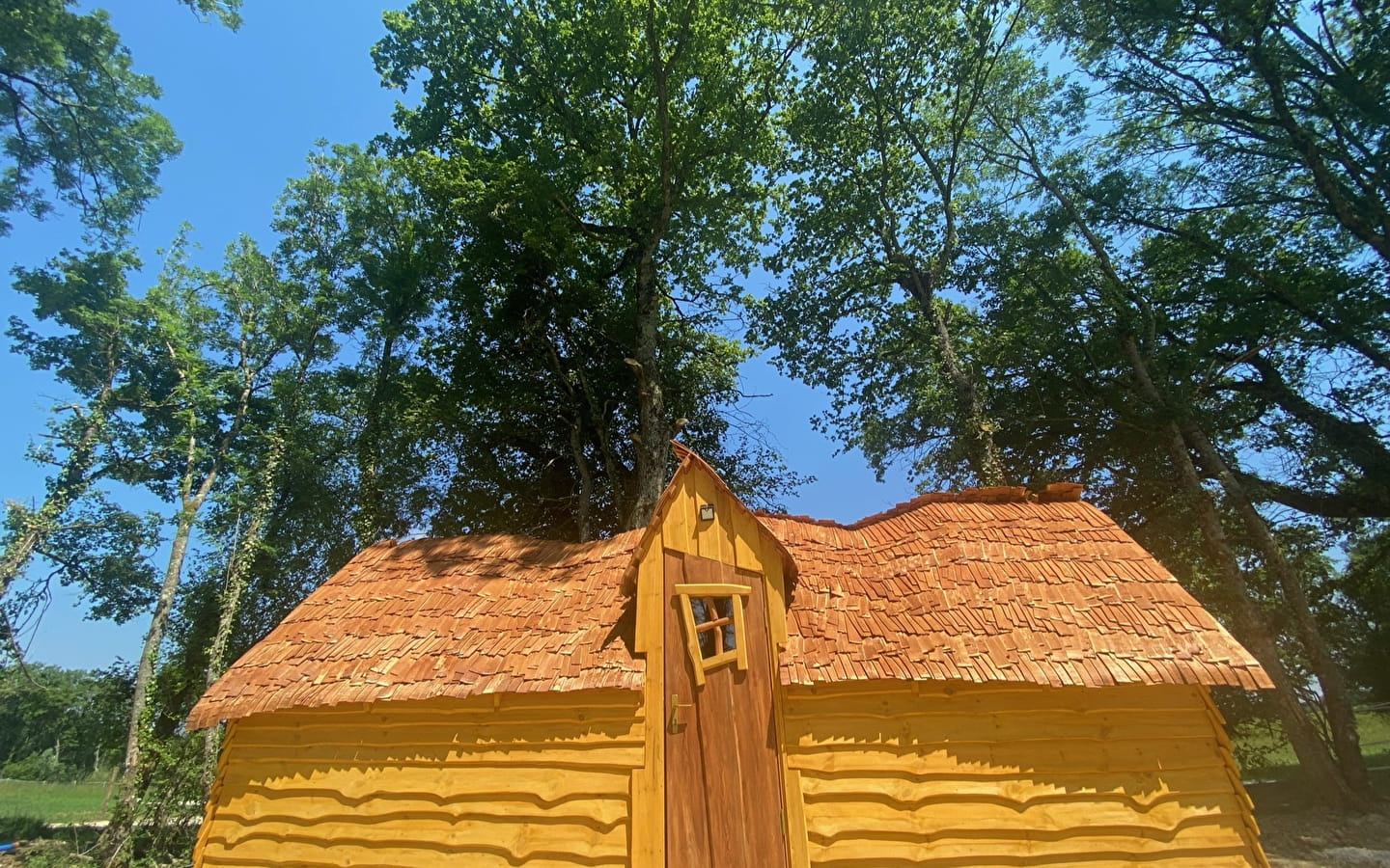 Les Éternelles - La Cabane Enchantée