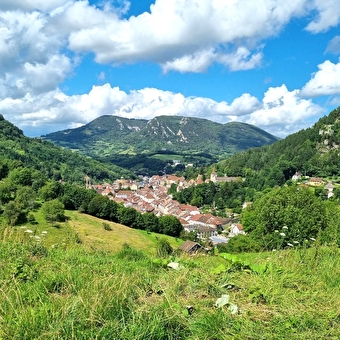 SALINS LES BAINS - SALINS-LES-BAINS