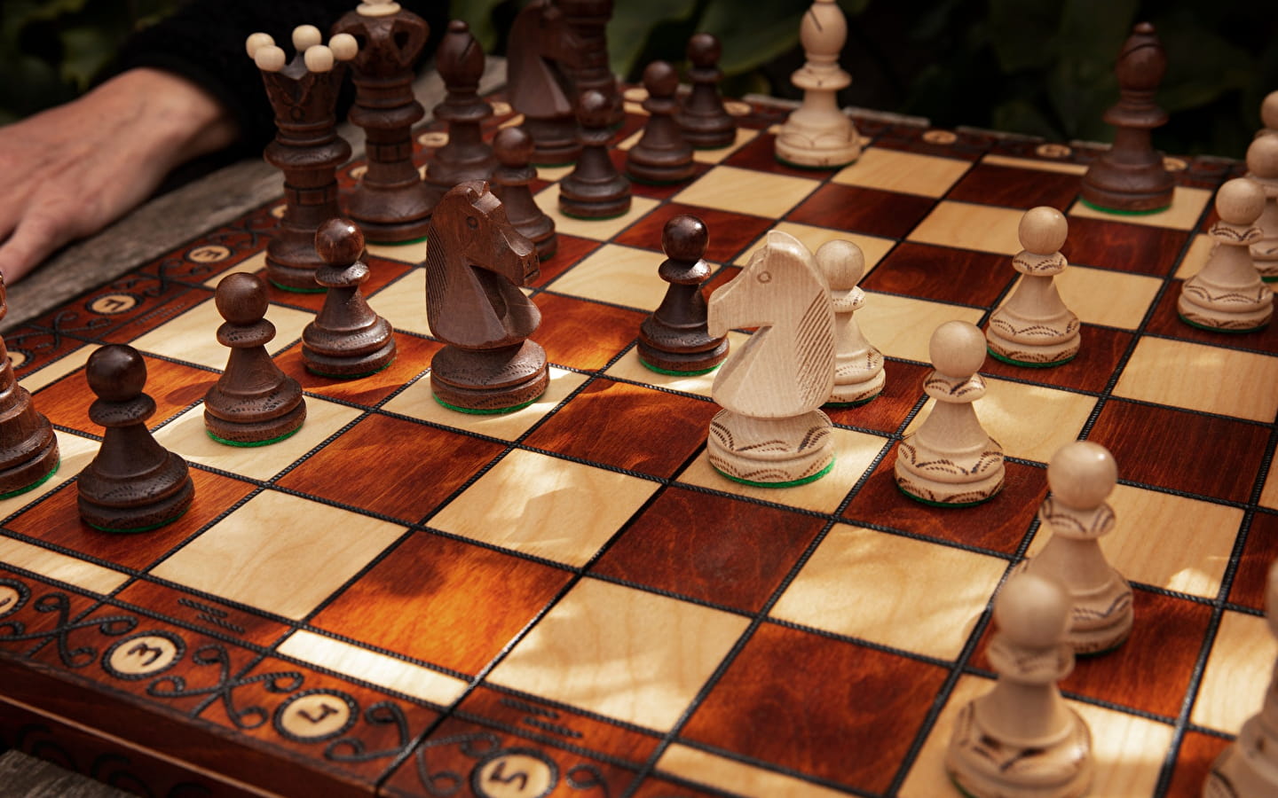 1er open international d'échecs