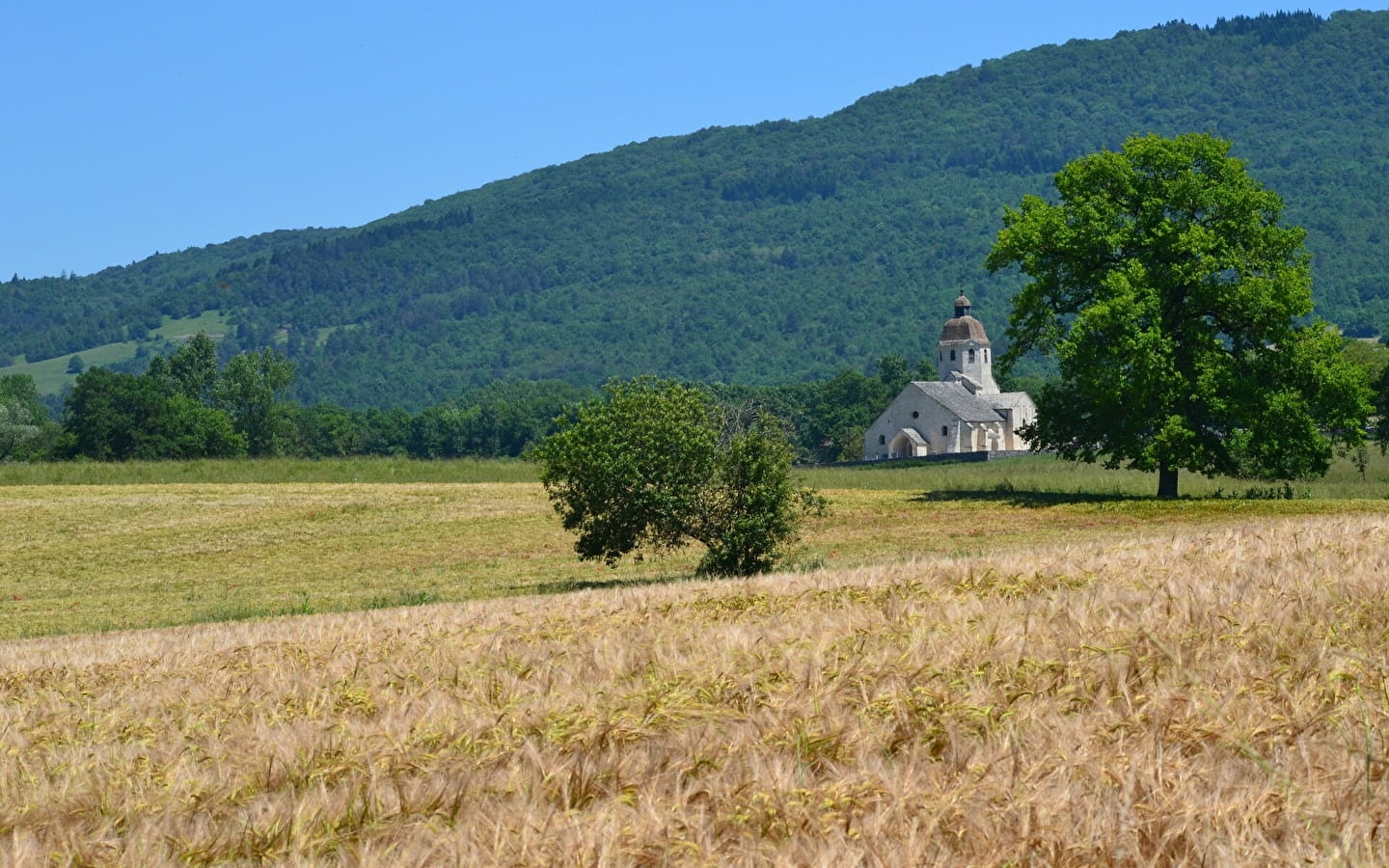 Between churches and castles