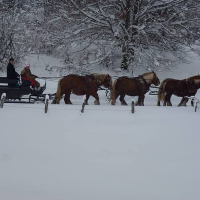 Les Attelages du Grandvaux en hiver