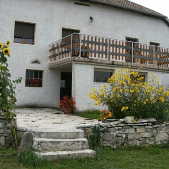 Le Saule Rieur - SAULES