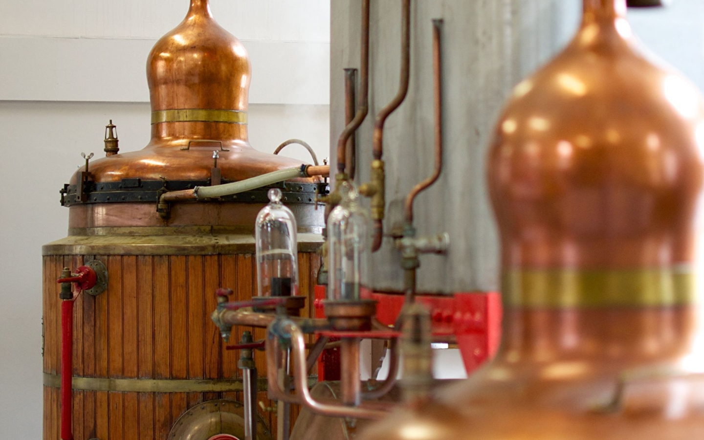 Visit - Historic absinthe distillery - Les Fils d'Emile Pernot