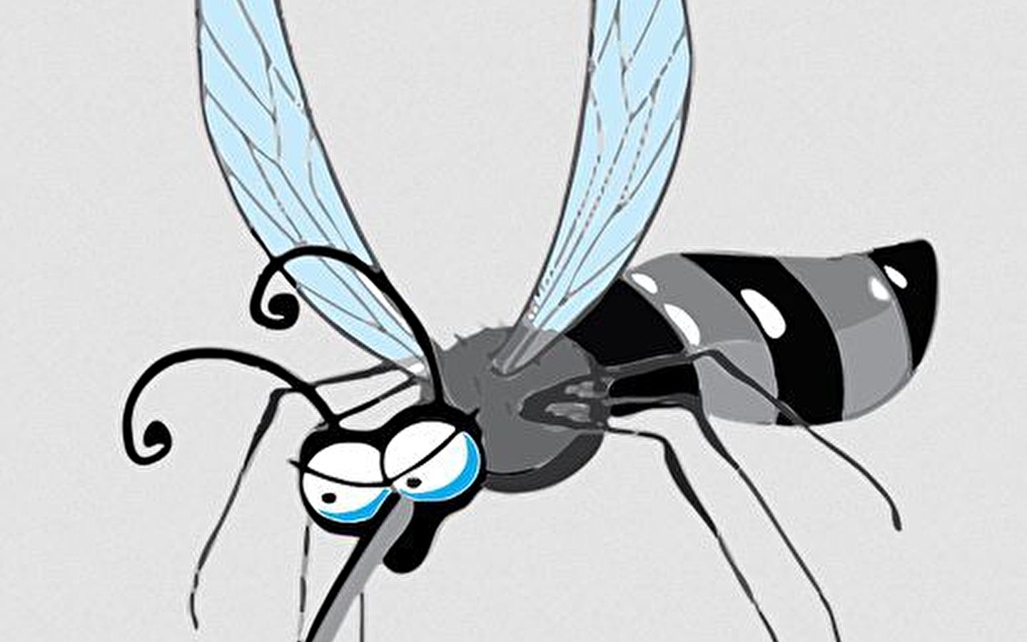Mosquito a workshop that stings